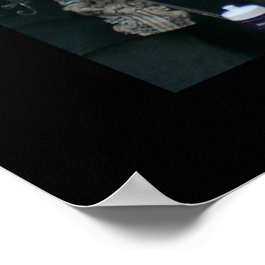 Poster Carnaval à Trinidad 2010 (Coin)