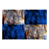 Poster carnivest (Devant)