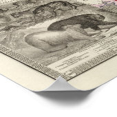 Poster Carnivora (Coin)