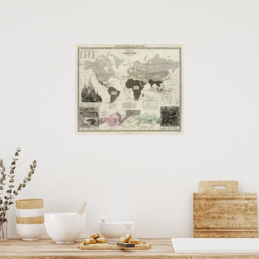 Poster Carnivora (Cuisine)