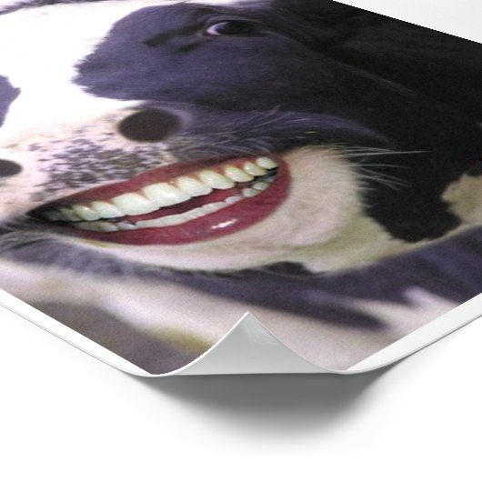 Poster Carnivore (Coin)