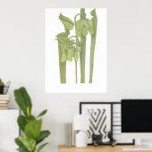 Poster Carnivorous Plant - Sarracenia flava (Bureau à domicile)