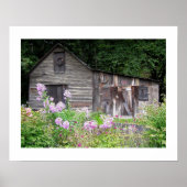 Poster Carolina Cabine (Devant)