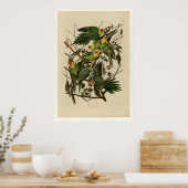 Poster Carolina Parrot (Cuisine)