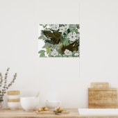 Poster Carolina Pigeon Audubon Morning Dove (Cuisine)