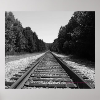 Poster Carolina Trails