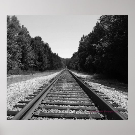 Poster Carolina Trails (Devant)