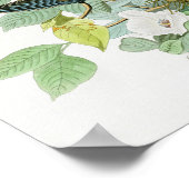 Poster Carolina Turtle Dove John Audubon Oiseaux d'Amériq (Coin)