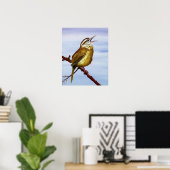 Poster Carolina Wren (Bureau à domicile)