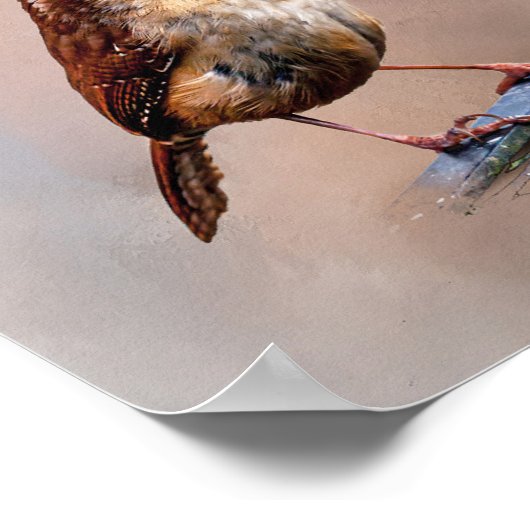 Poster Carolina Wren (Coin)