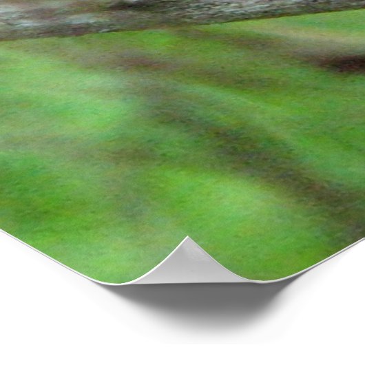 Poster Carolina Wren (Coin)