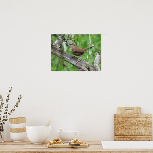 Poster Carolina Wren (Cuisine)