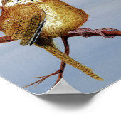 Poster Carolina Wren (Coin)