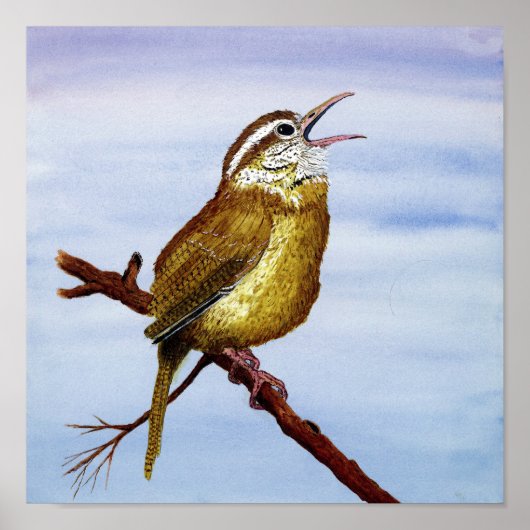 Poster Carolina Wren Art (Devant)