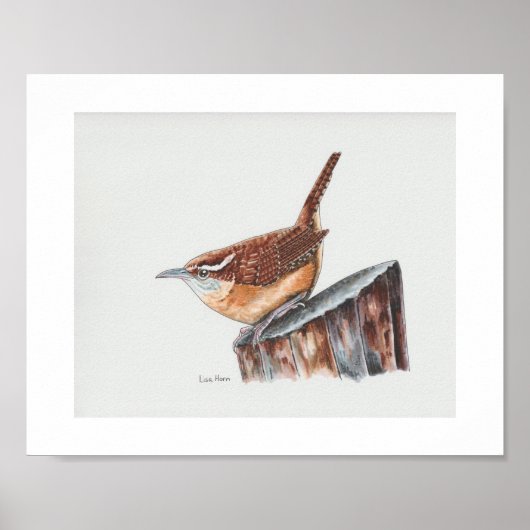 Poster Carolina Wren Art Imprimer (Devant)