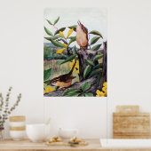 Poster Carolina Wrens et Jessamine jaune (Cuisine)