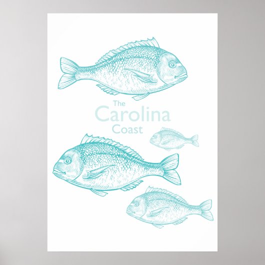 Poster Caroline Côtière Vintage Turquoise Poisson d'Eau d (Devant)