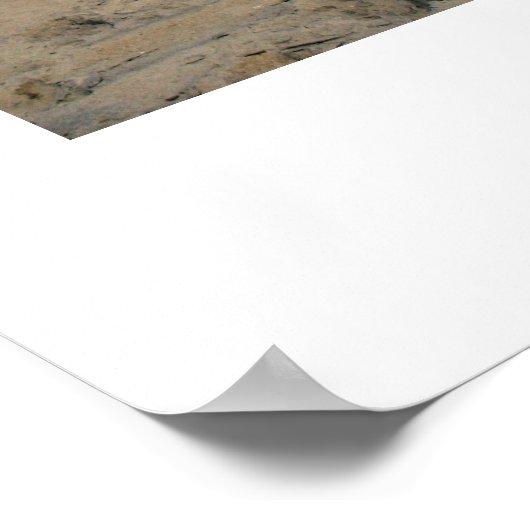 Poster Caroline du Nord (Coin)