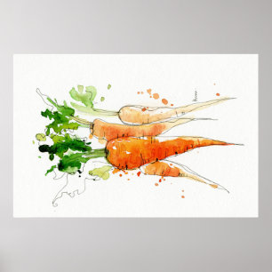 Poster Carotte, aquarelle Cuisine végétale