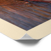 Poster Carotte et racine de betterave (Coin)