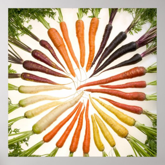 Poster Carottes colorées (Devant)