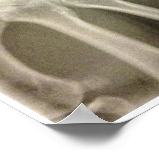 Poster Carpals Xray (Coin)