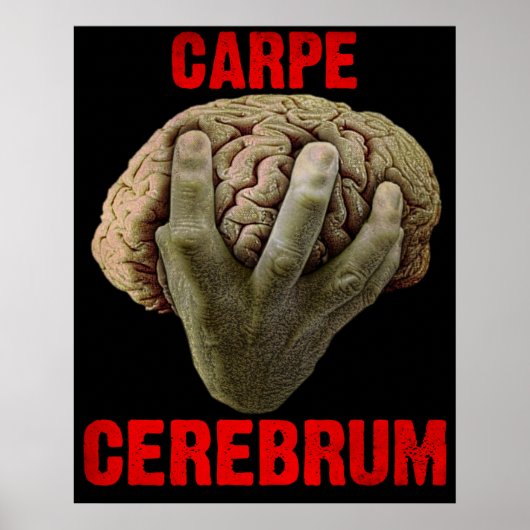 poster "CARPE CEREBRUM" (Voorkant)