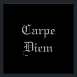 Poster Carpe Diem<br><div class="desc">Affiche élégante de Carpe Diem. Thème - Latin "fausse latino" typographie citation moderne noir contemporain argent monochrome encouragement mots inspirants</div>