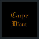Poster Carpe Diem<br><div class="desc">Poster élégant de Carpe Diem. Thème - typographie stylisée latin "mock latin" contemporaine citation moderne encouragement mots inspirants or noir</div>