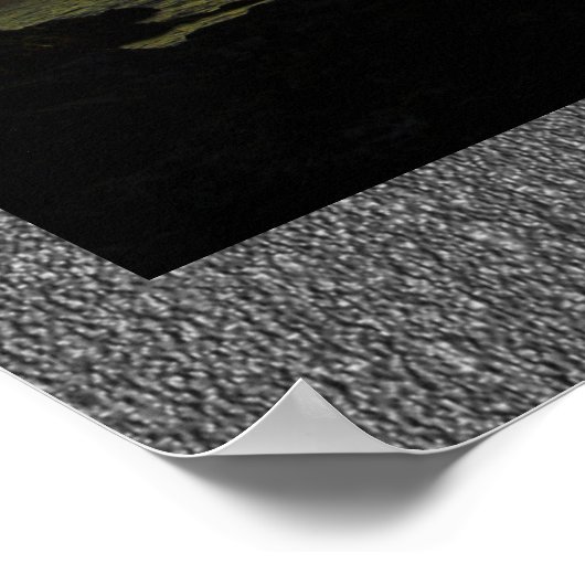 Poster Carpe Diem (Coin)