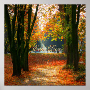 Poster Carpe Diem personnalisable avec feuille colorée