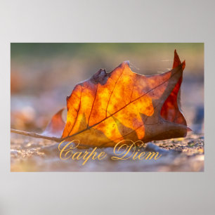 Poster Carpe Diem personnalisable avec feuille colorée Po