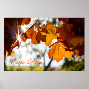 Poster Carpe Diem personnalisable avec feuille colorée Po