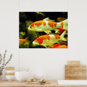 Poster Carpe Koï (Cuisine)
