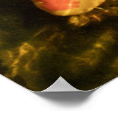 Poster Carpe Koï (Coin)