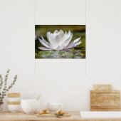 Poster Carpe personnelle Diem nénuphar blanc (Cuisine)