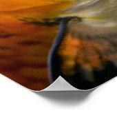 Poster Carpes de Koi (Coin)