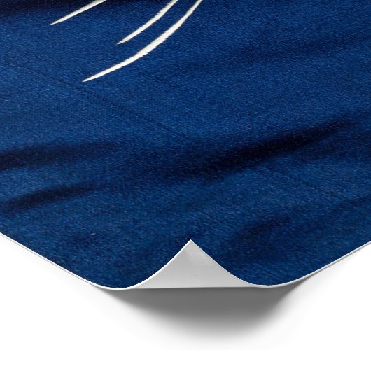 Poster Carpes et vagues (Coin)