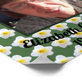 Poster Carré de la mémoire affectueuse du narcisse blanc  (Coin)