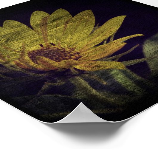 Poster Carré fleur sauvage (Coin)