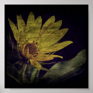 Poster Carré fleur sauvage