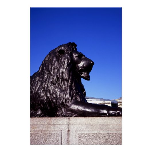 Poster Carré Lion de bronze Trafalgar (Devant)