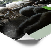 Poster Carré Sheepfold with Lambs (Coin)
