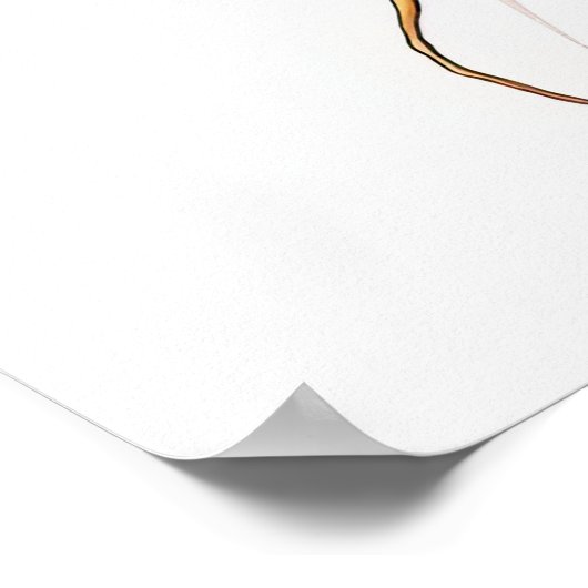 Poster CARREAUX Imprimables (Coin)