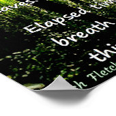 Poster Carrefour (Coin)