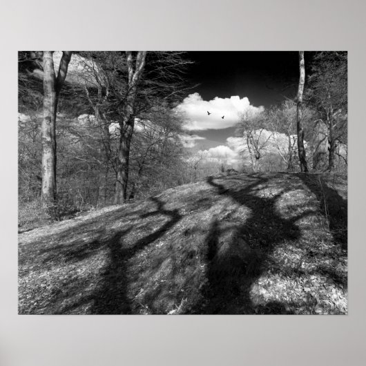 Poster Carrion. (Devant)