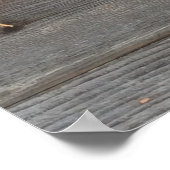 Poster Carrot (Coin)