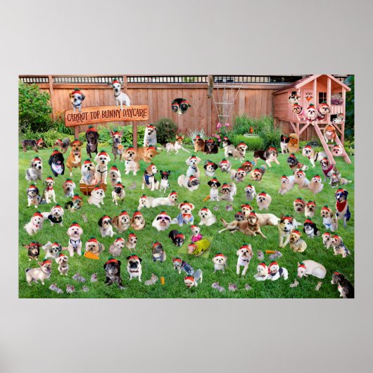 Poster Carrot Top Bunny Daycare 2015 (Devant)