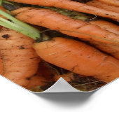 Poster Carrots (Coin)