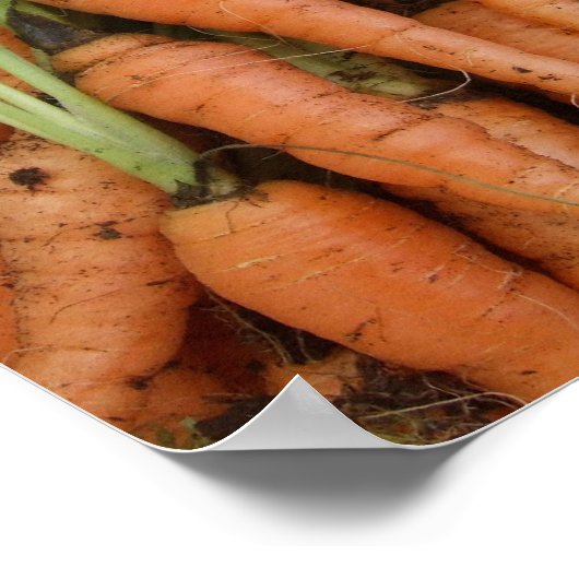 Poster Carrots (Coin)